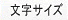文字サイズ